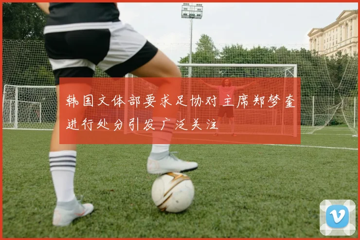 韩国文体部要求足协对主席郑梦奎进行处分引发广泛关注